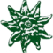 Edelweiss Blume Edelweiss Blume
