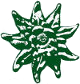 Edelweiss Blume